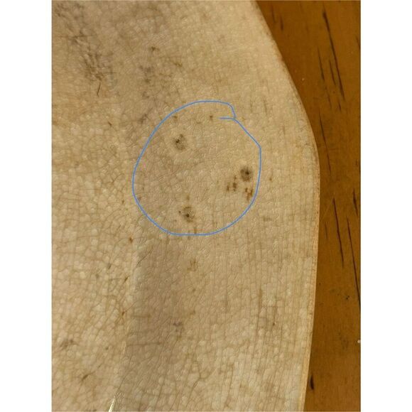 Antique J Wedgwood Tyrol Ironstone Transferware Polychrome 10.5” Bowl(8947) - Picture 9 of 13